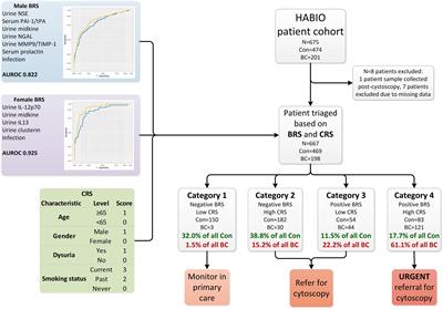 Biomarkers to assess the risk of bladder cancer in patients presenting with haematuria are gender-specific